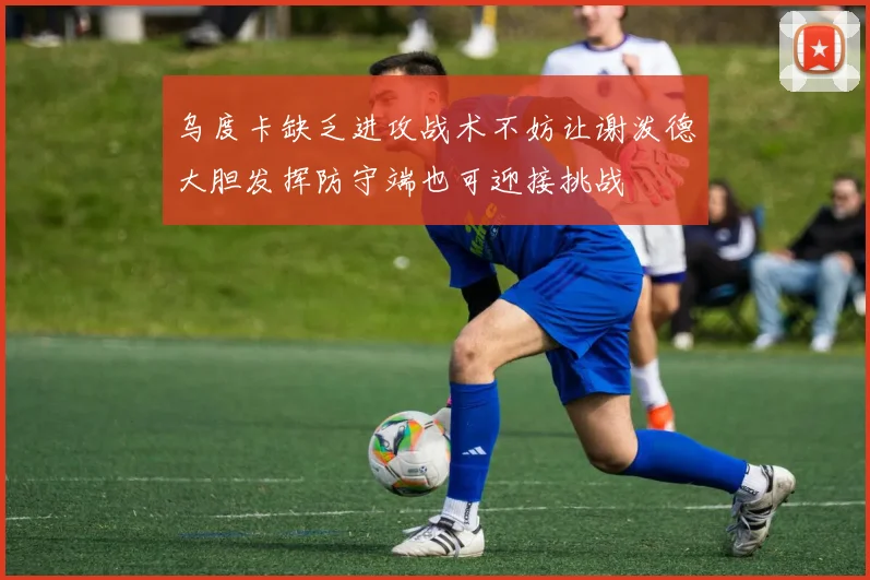 乌度卡缺乏进攻战术不妨让谢泼德大胆发挥防守端也可迎接挑战