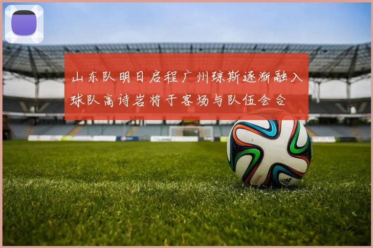 山东队明日启程广州琼斯逐渐融入球队高诗岩将于客场与队伍会合