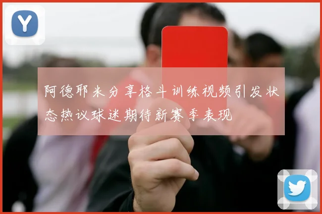 阿德耶米分享格斗训练视频引发状态热议球迷期待新赛季表现